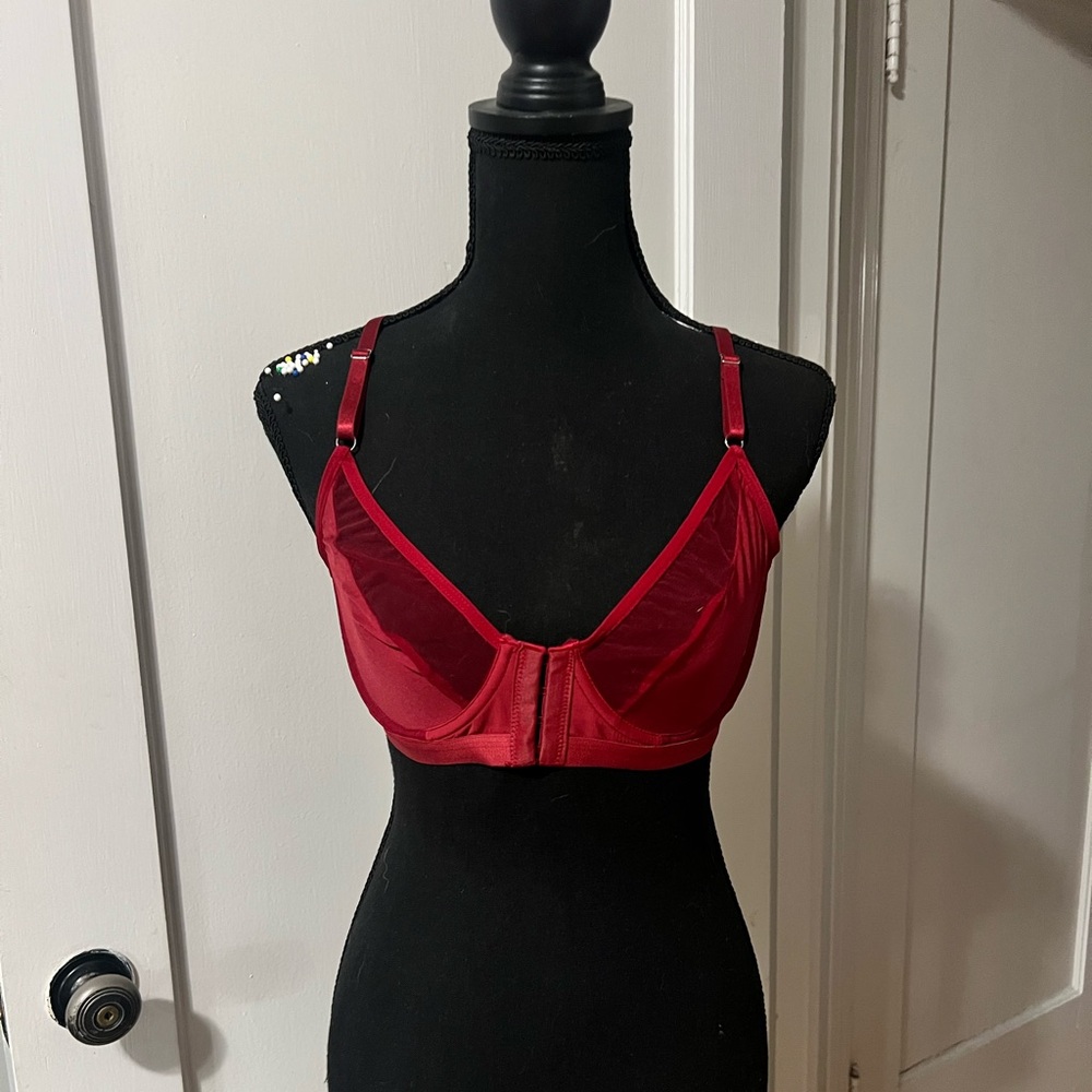 Elegant Red Sheer Bra, Front Clasp, with Matching Thong Panty